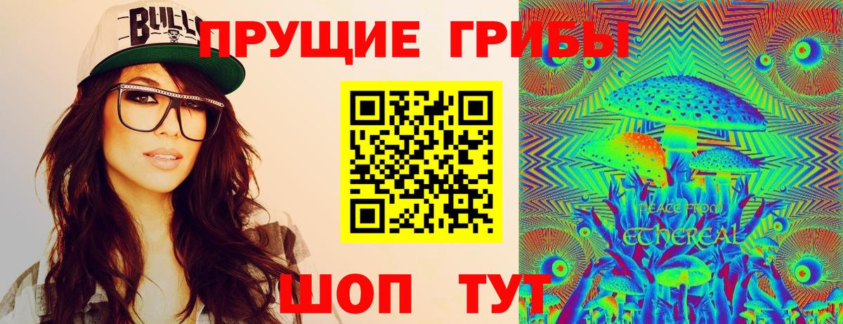 Псилоцибиновые грибы Psilocybe Ступино