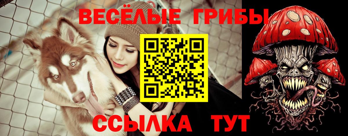 где найти   Галлюциногенные грибы MAGIC MUSHROOMS  Ступино  Вход с VPN  Псилоцибиновые грибы ЛСД 
